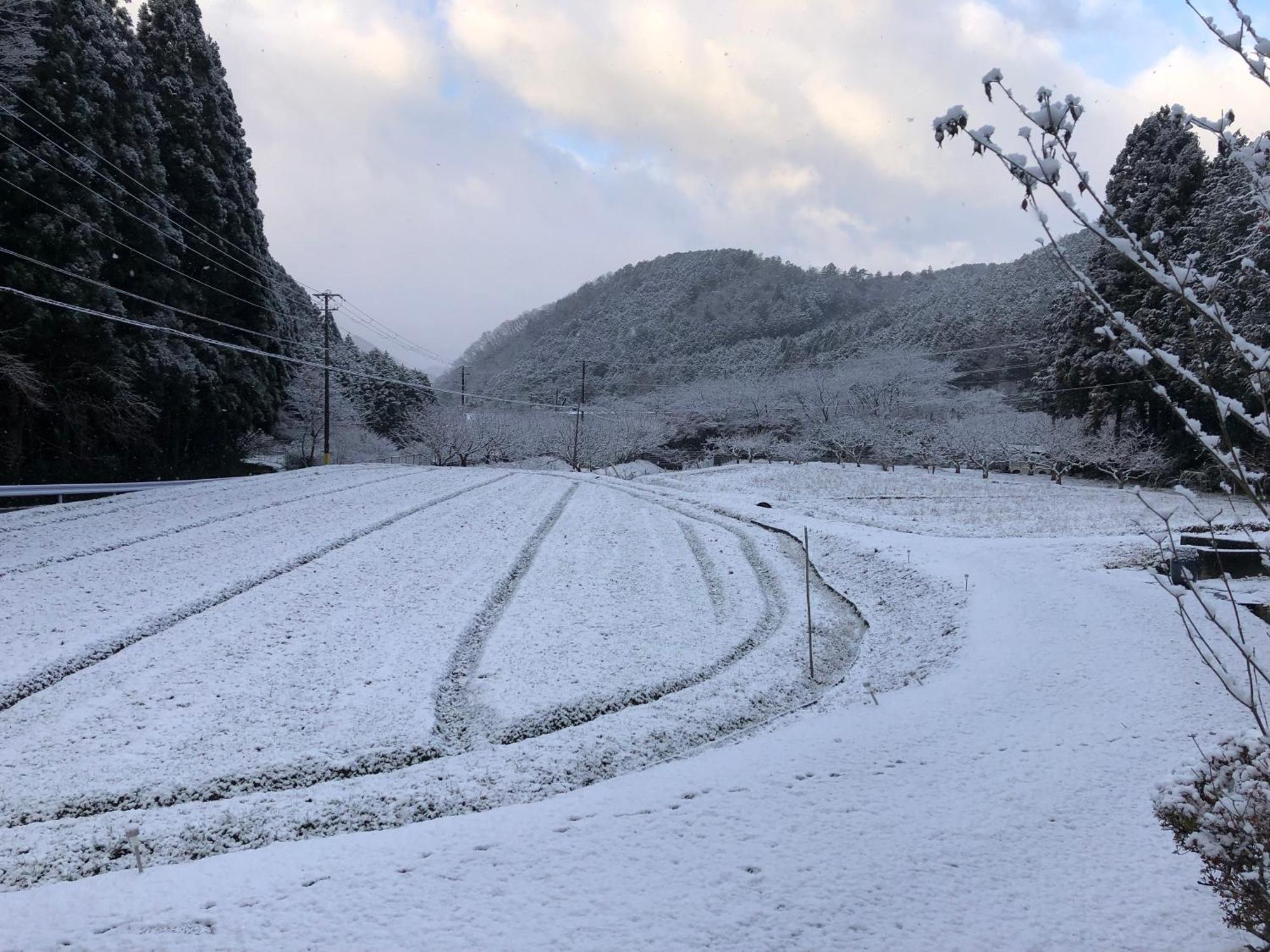 Satoyama Hotel Kanenone Tamba 米原 外观 照片