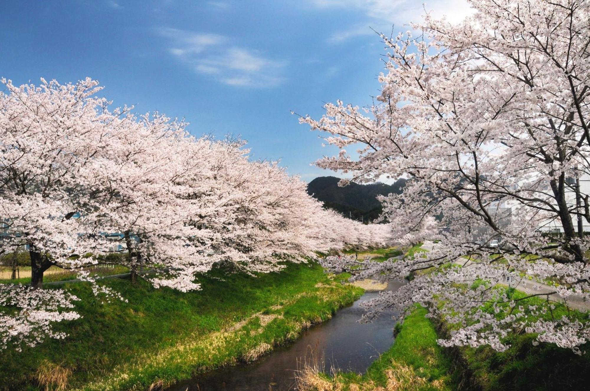 Satoyama Hotel Kanenone Tamba 米原 外观 照片