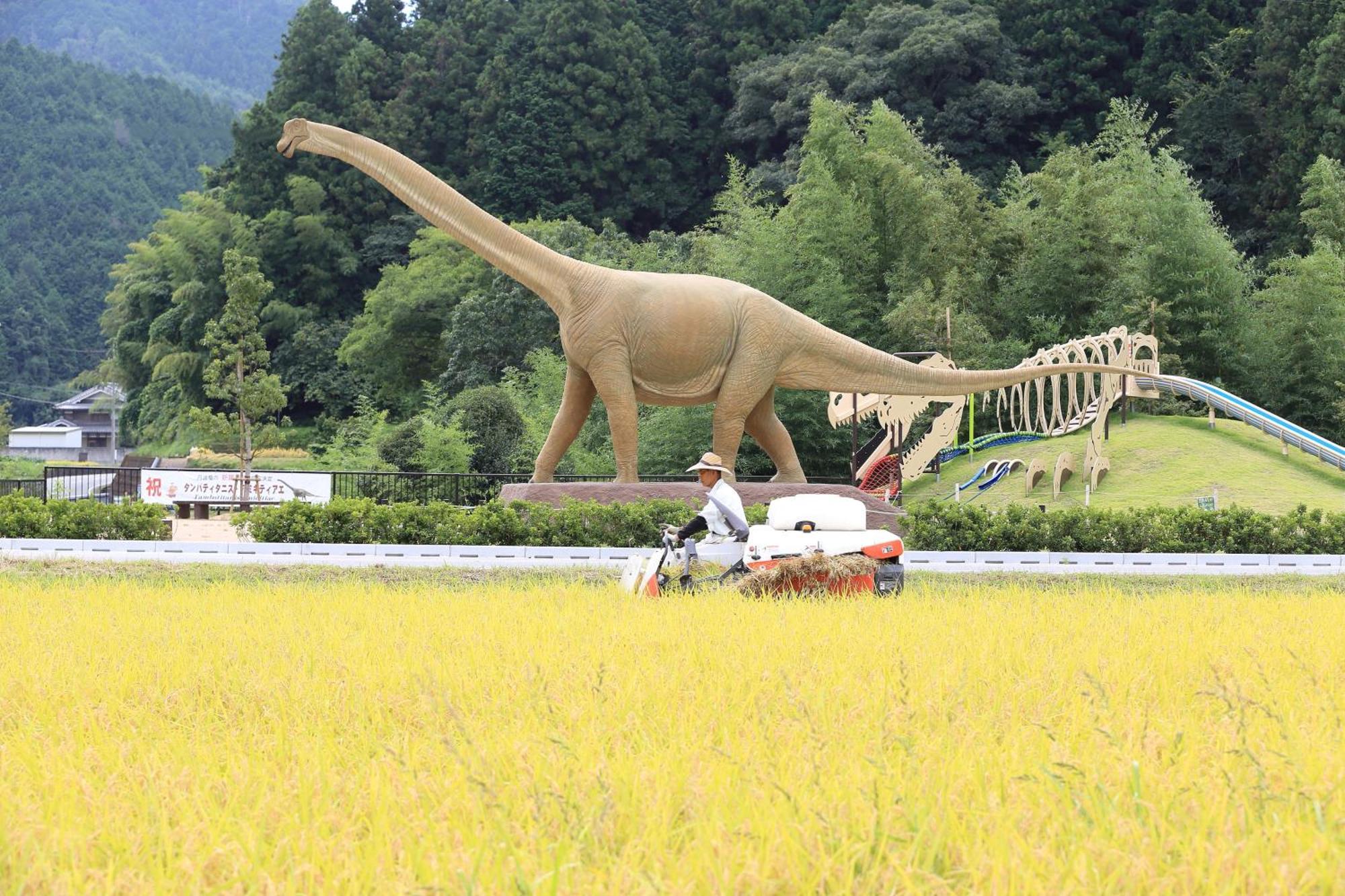 Satoyama Hotel Kanenone Tamba 米原 外观 照片