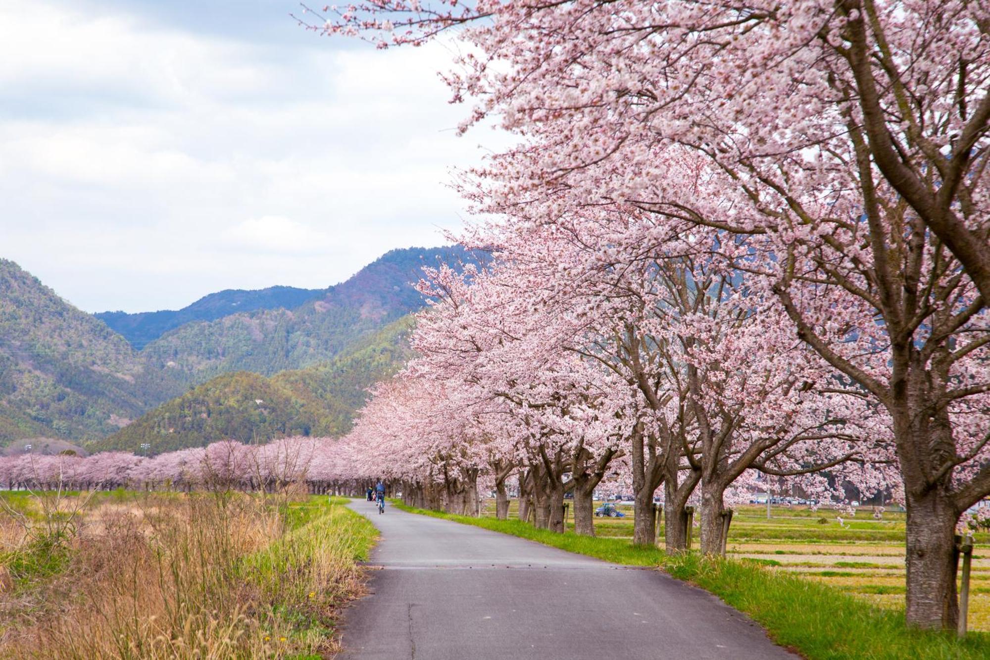 Satoyama Hotel Kanenone Tamba 米原 外观 照片