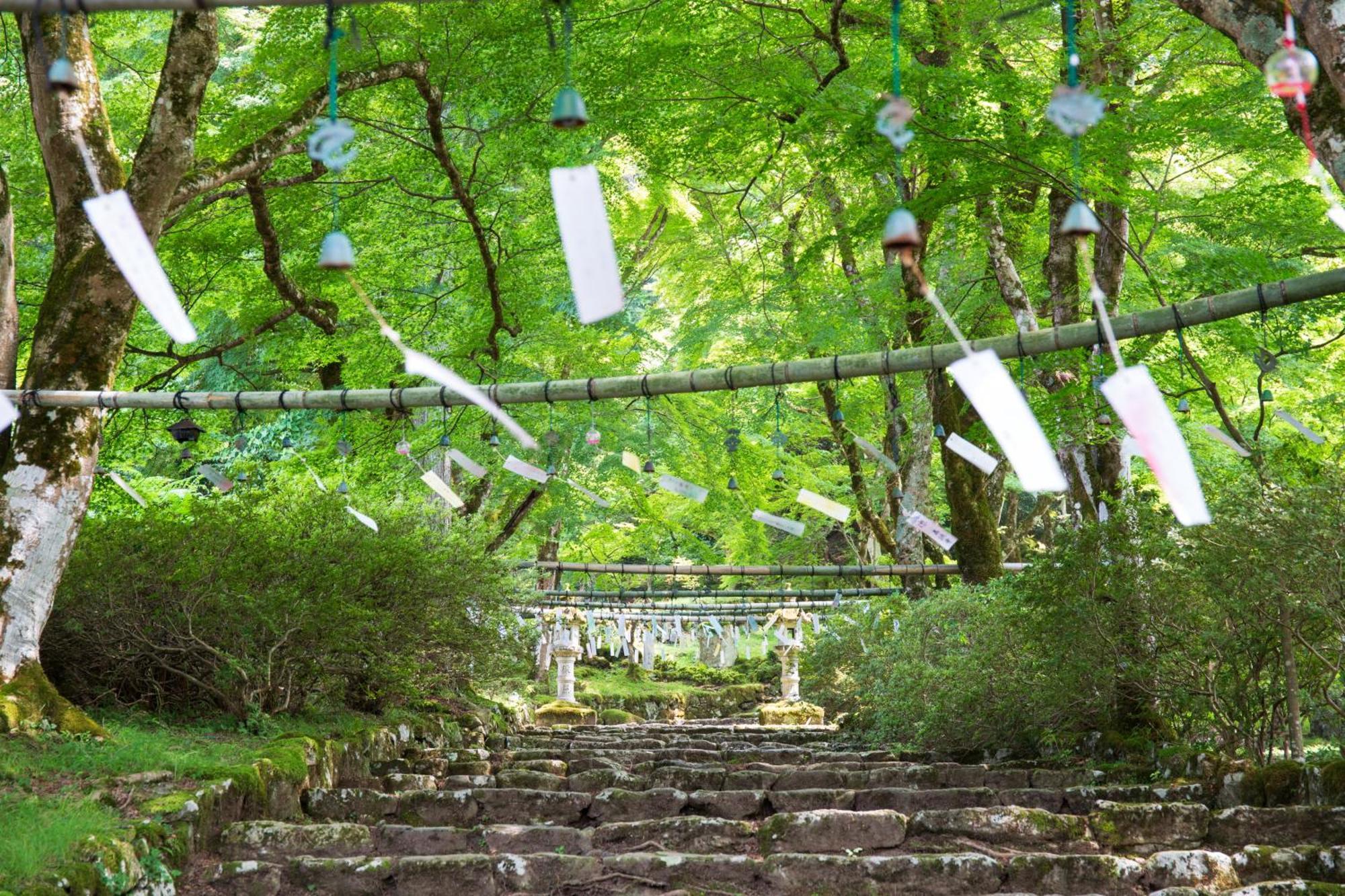 Satoyama Hotel Kanenone Tamba 米原 外观 照片