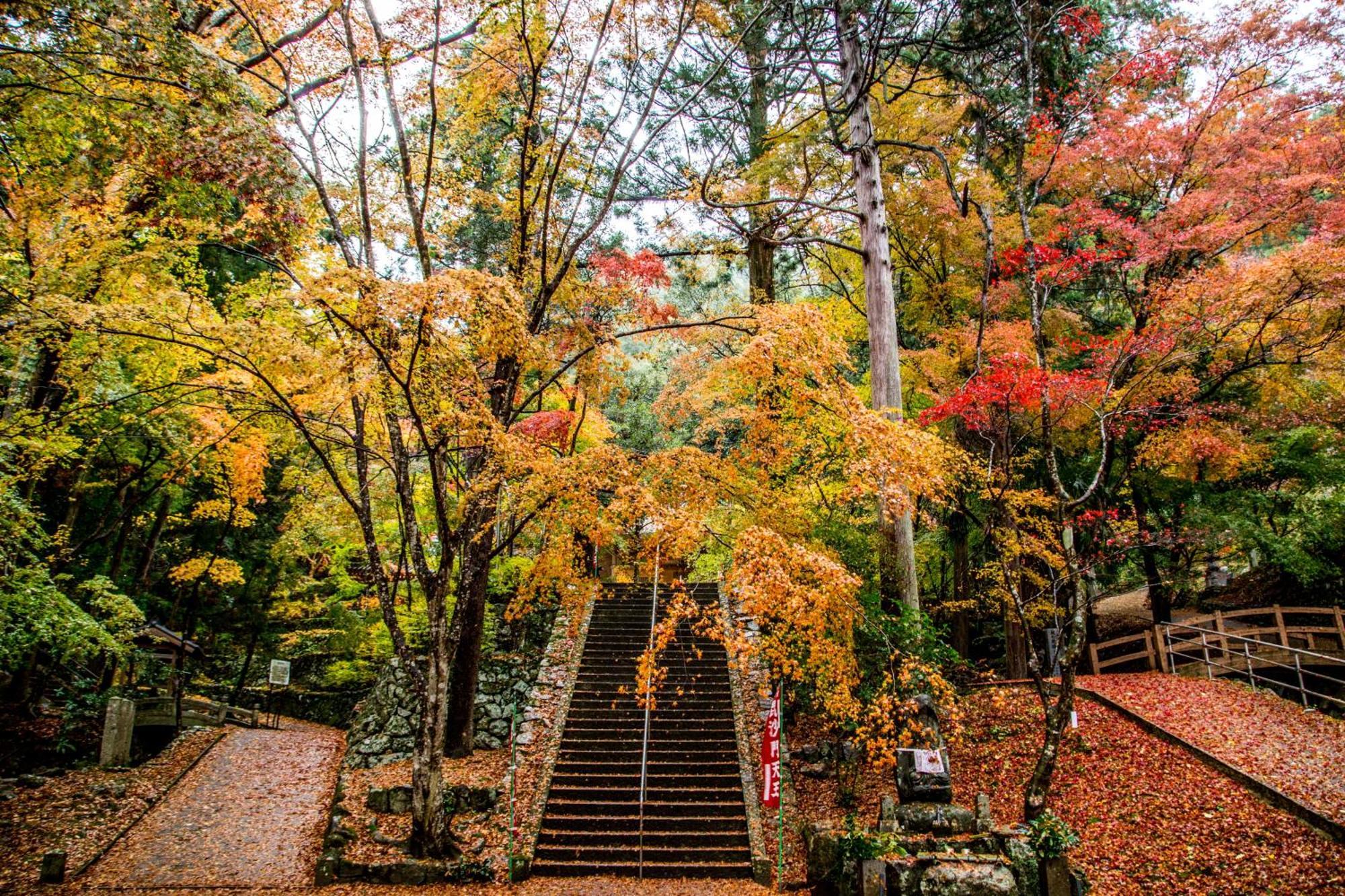Satoyama Hotel Kanenone Tamba 米原 外观 照片