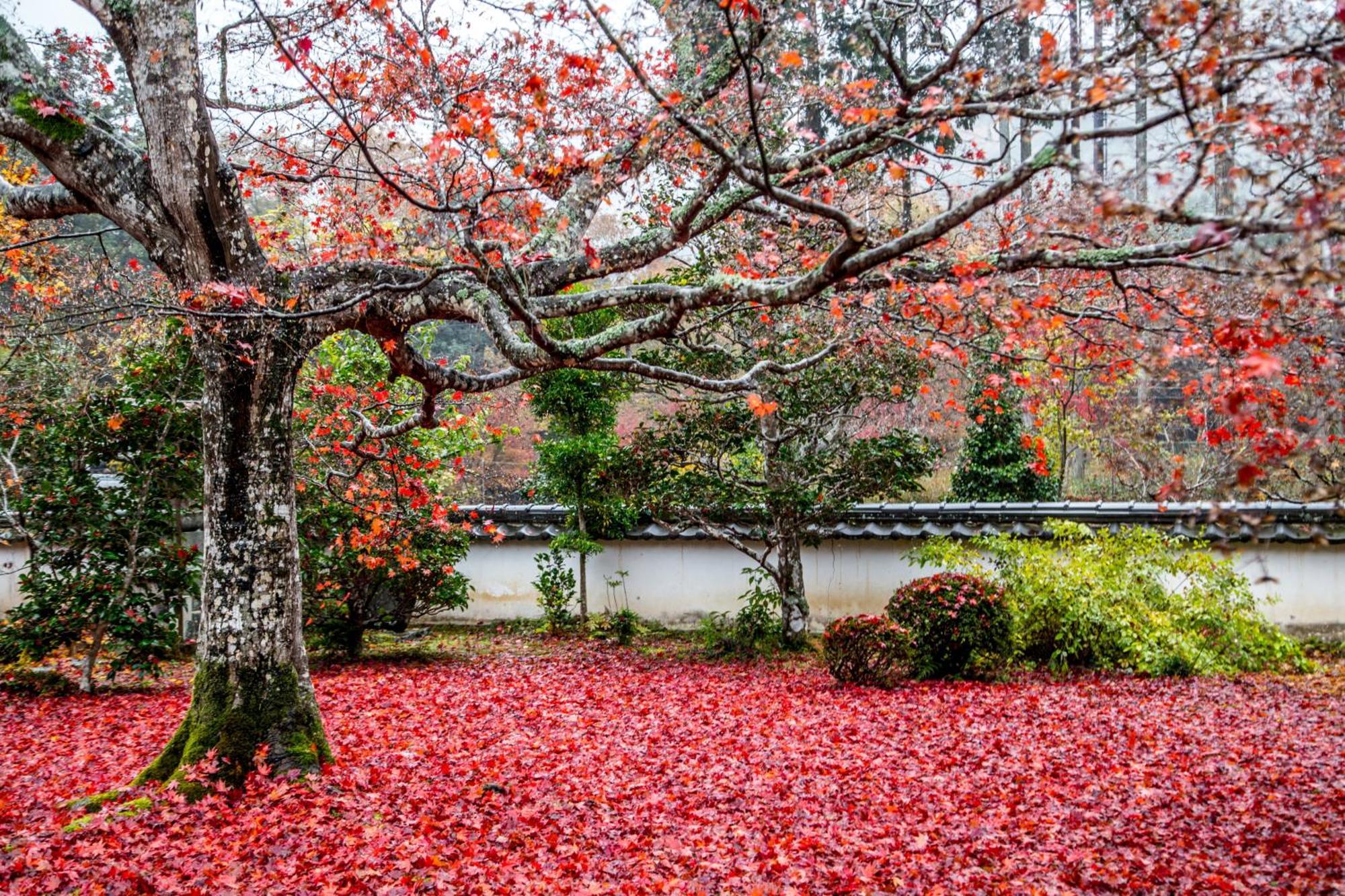 Satoyama Hotel Kanenone Tamba 米原 外观 照片